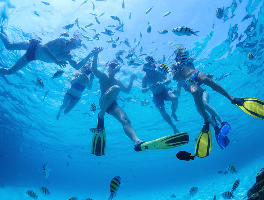 Snorkeling