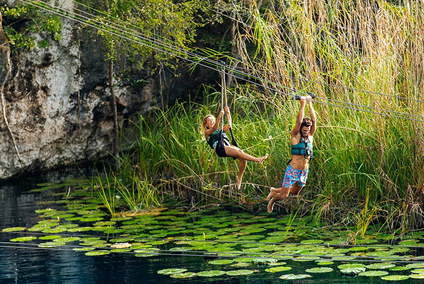 Xenotes