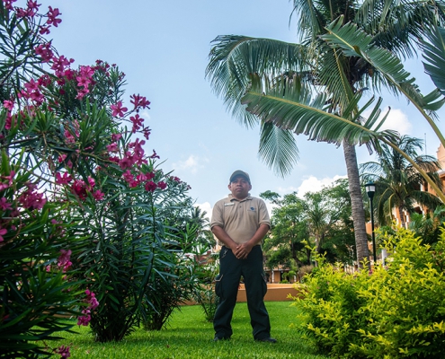 The Royal Haciendas