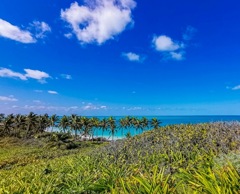 Isla Contoy