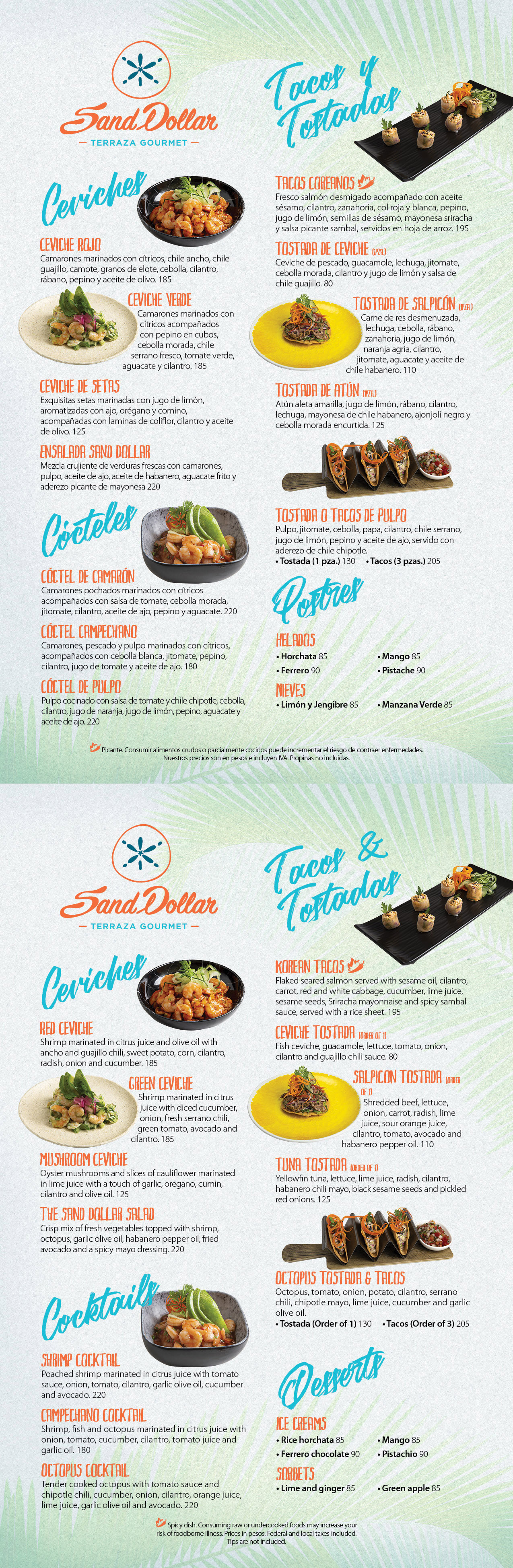 Sand Cat'S Surprising Menu: A Carnivore'S Feast - 0jgr1ii