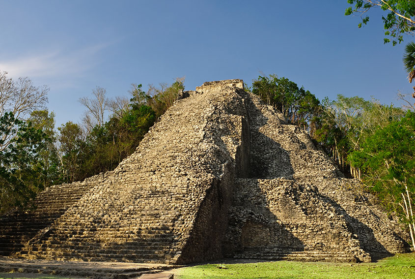 Cobá