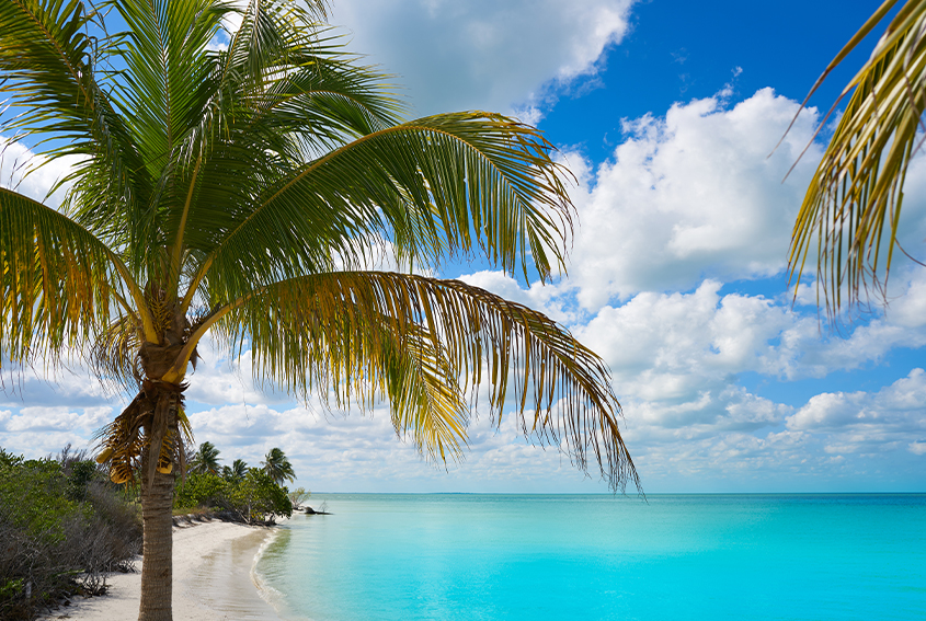 Holbox