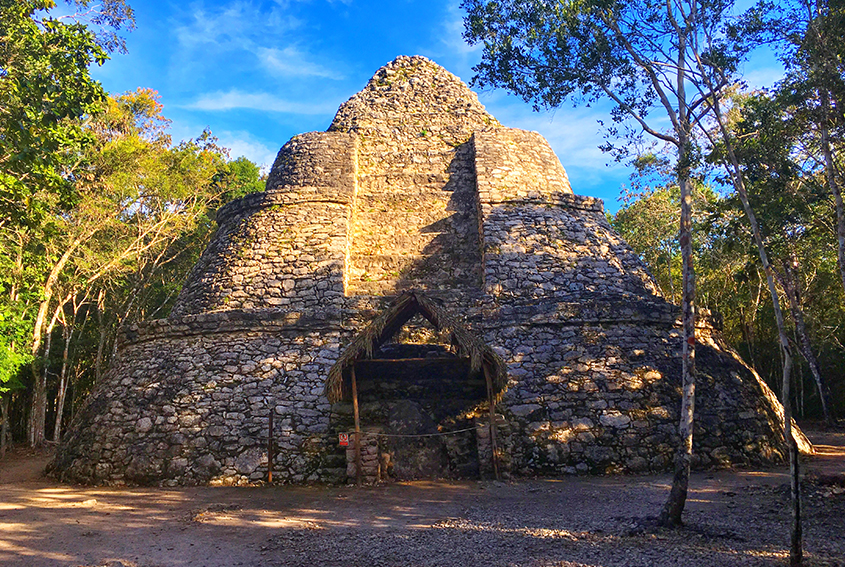 Cobá