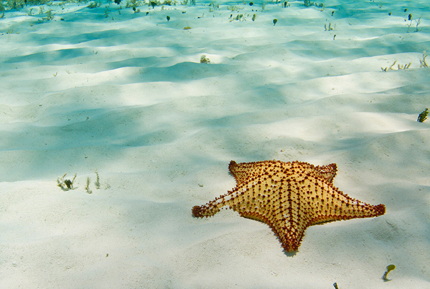 El Cielo, Cozumel