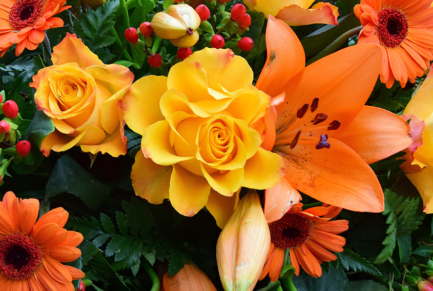 Flower power