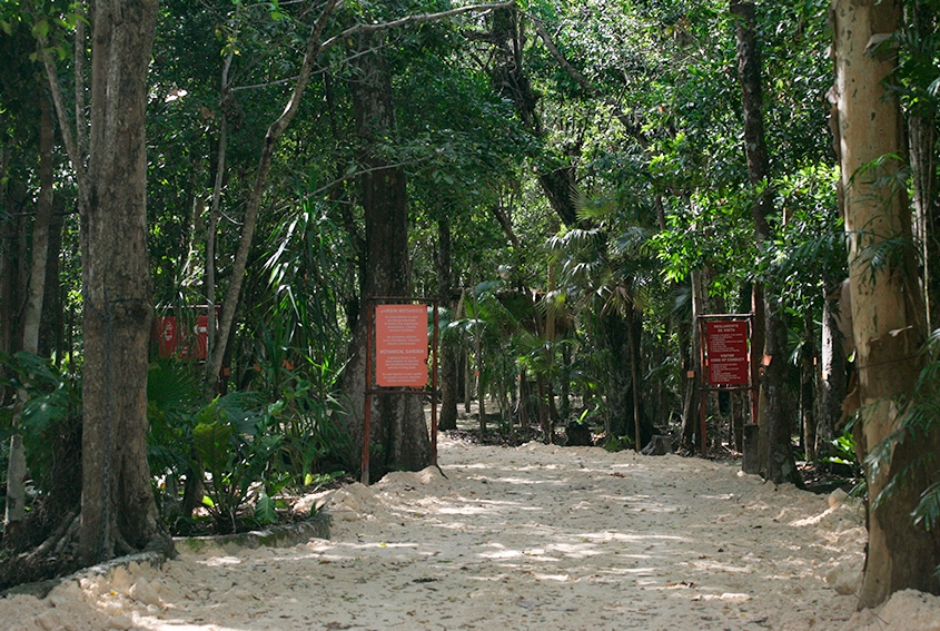 Yaaxche-Alfredo Barrera Marin Botanical Garden