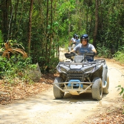 ATVs