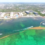 Sargassum barrier