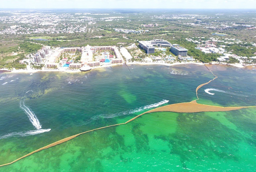 Sargassum barrier