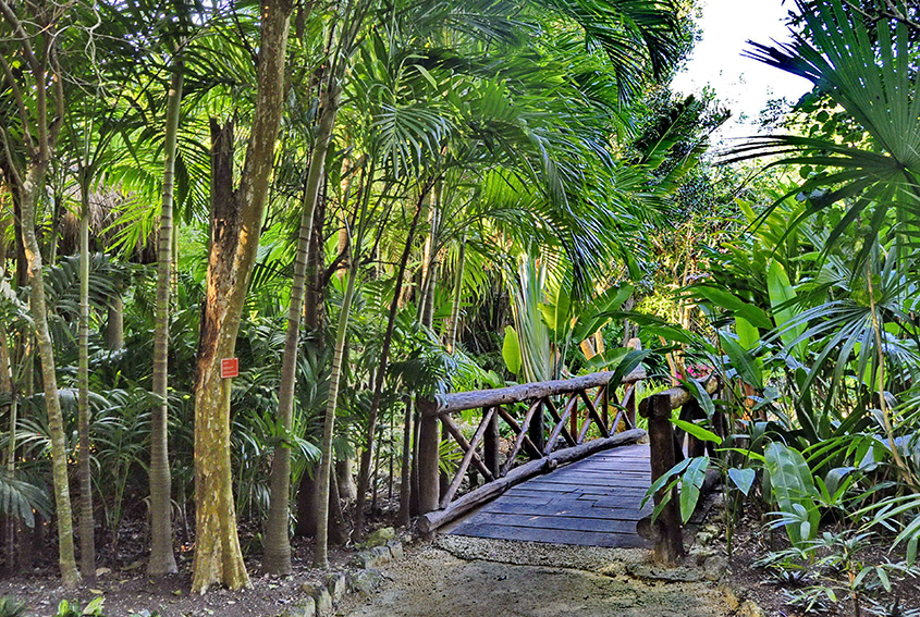 Cozumel