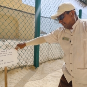 Oscar Toledo