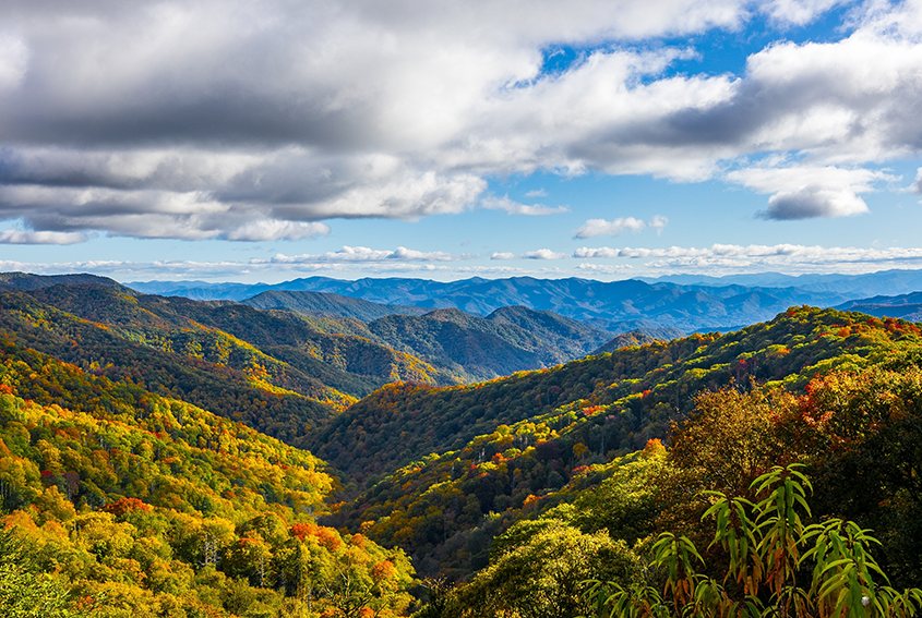 Great Smoky Mountains National Park