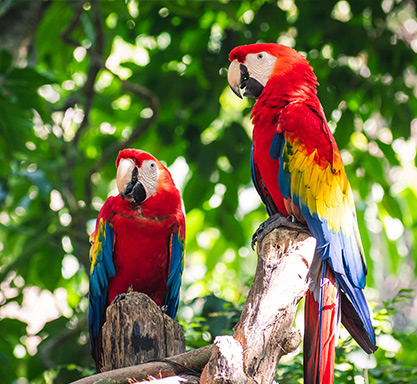 playadelcarmen-parks