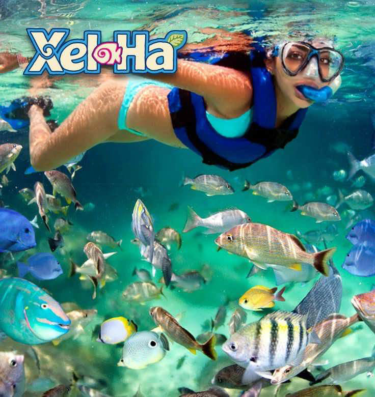 Snorkeling Heaven Royal Resorts