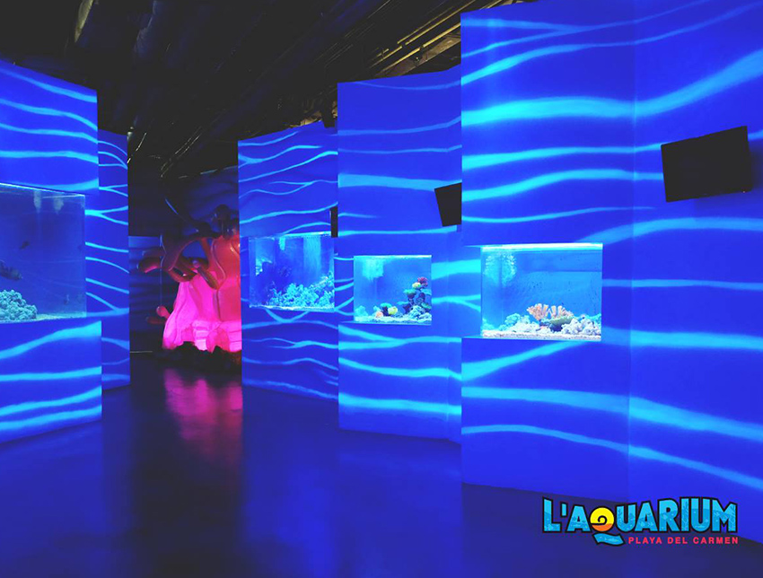 L’Aquarium Playa del Carmen