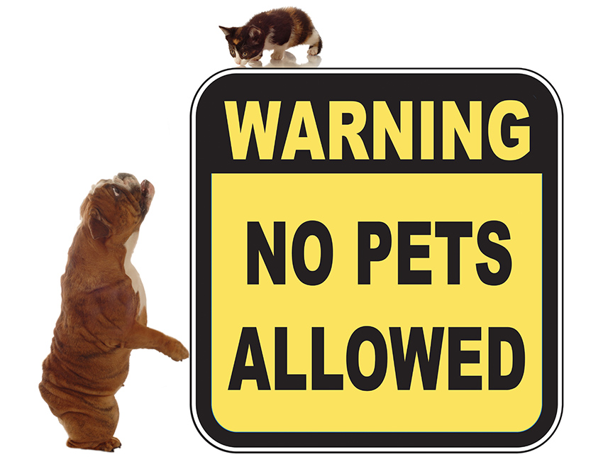 No Pets Allowed